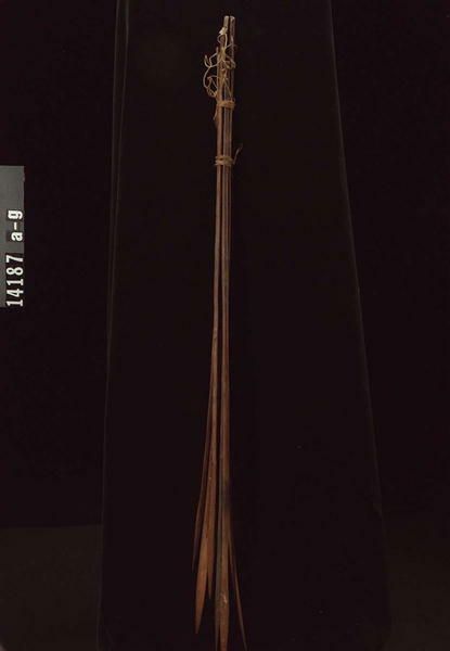 Image representing Needle.