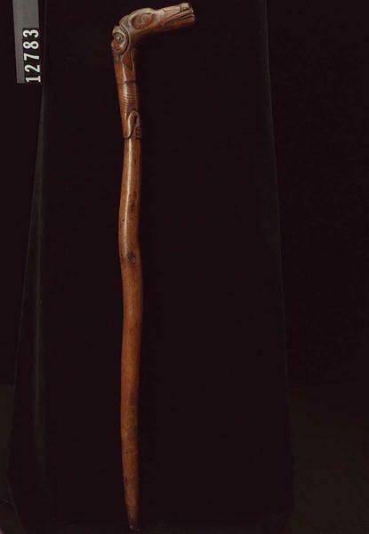Image representing Cane.