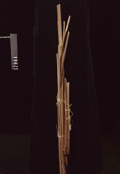 Image représentant Prepared Material