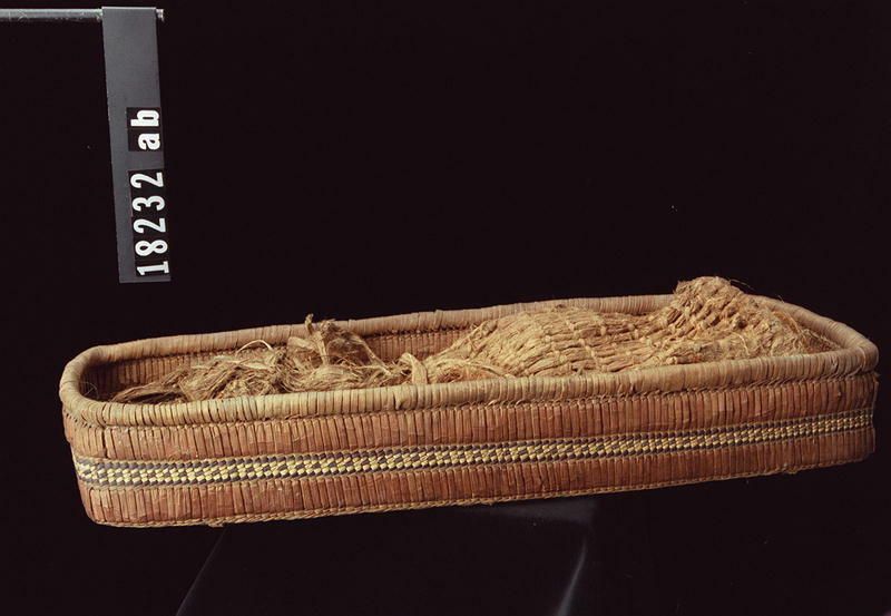 Image représentant Cradle