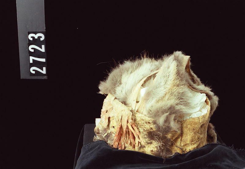 Image representing Headdress.