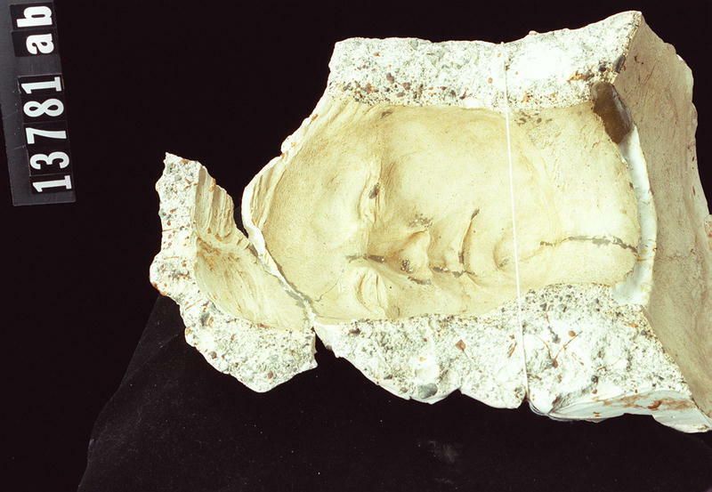 Image representing Mold.