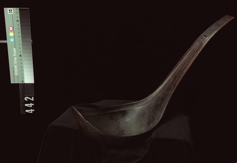 Image representing Ladle.