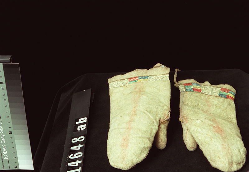 Image représentant Mitt