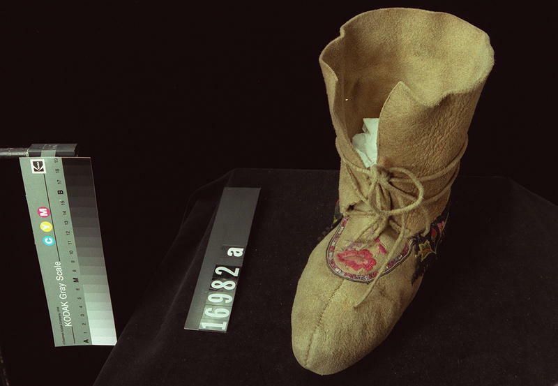 Image representing Moccasin.