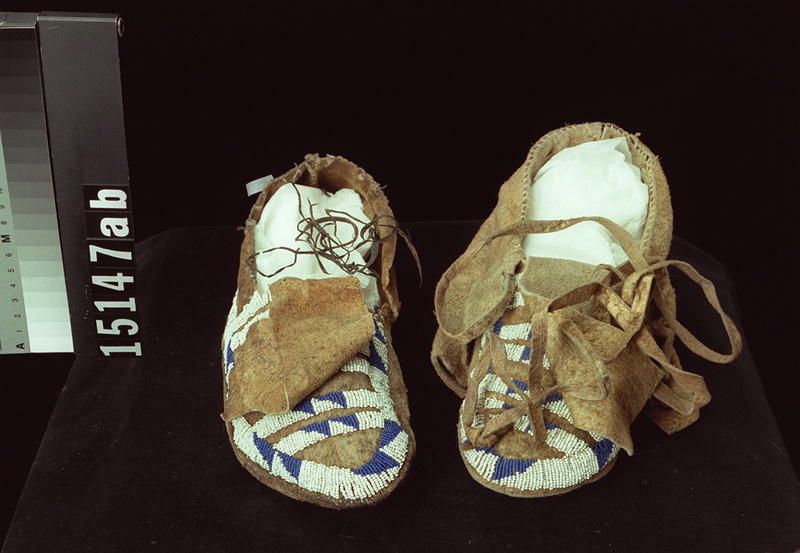 Image representing Moccasin.