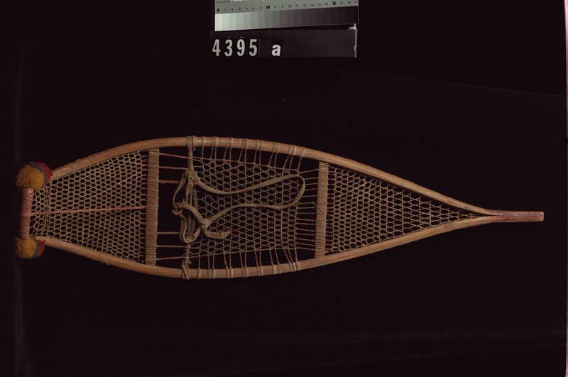 Image representing Snowshoe.