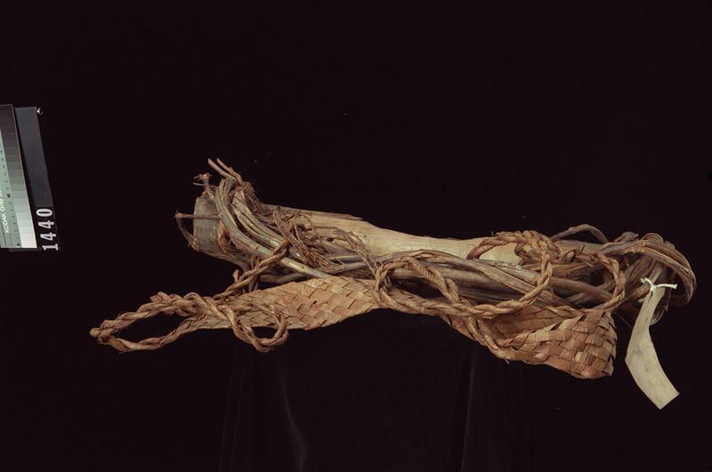 Image représentant Ladder ?