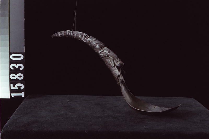 Image representing Spoon.