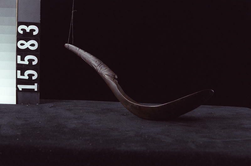 Image representing Spoon.