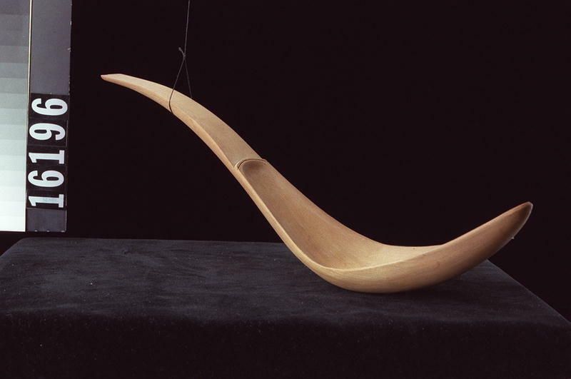 Image representing Spoon.