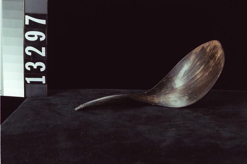 Image representing Spoon.