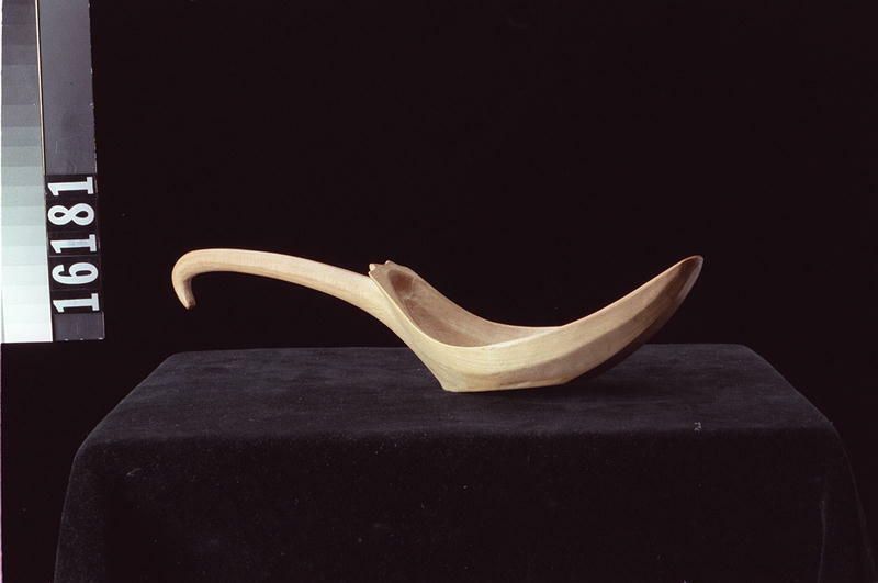 Image representing Spoon.