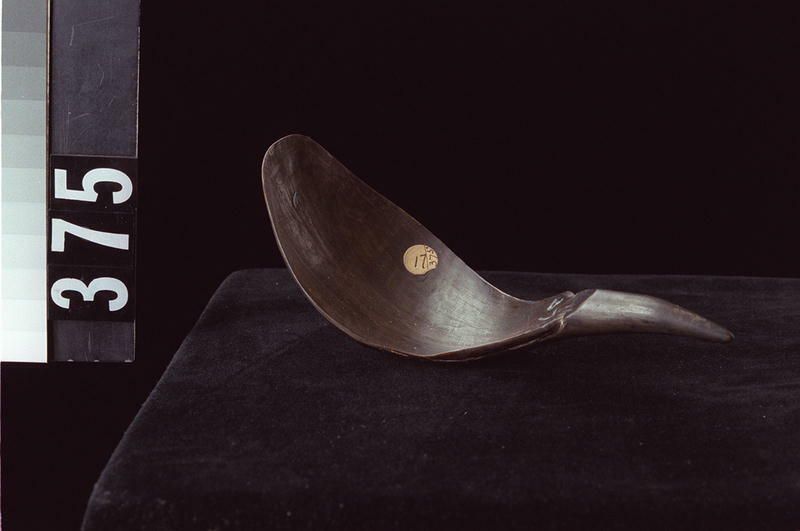 Image representing Spoon.