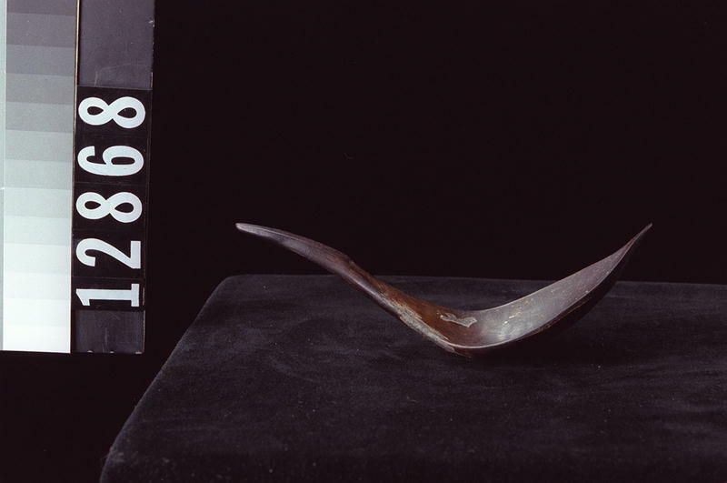Image representing Spoon.
