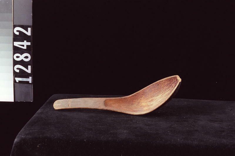 Image representing Spoon.