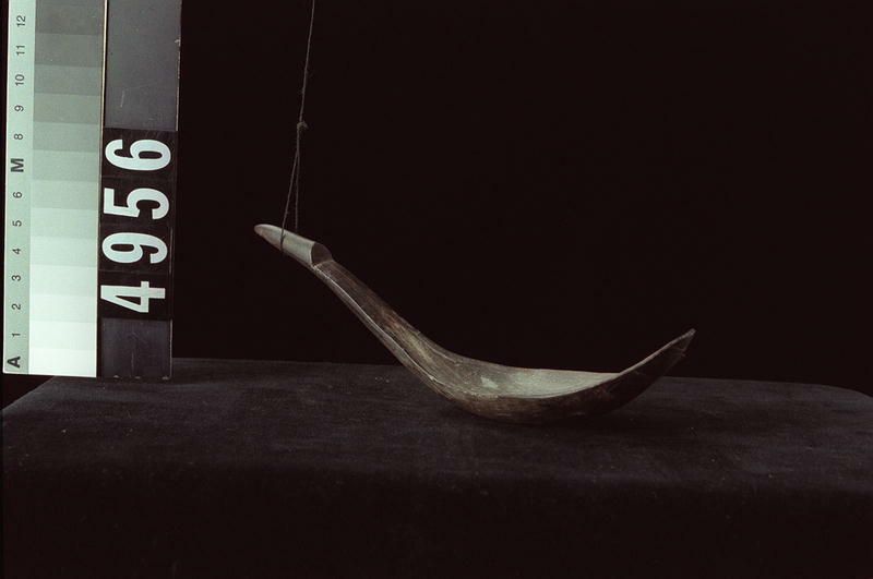 Image representing Spoon.