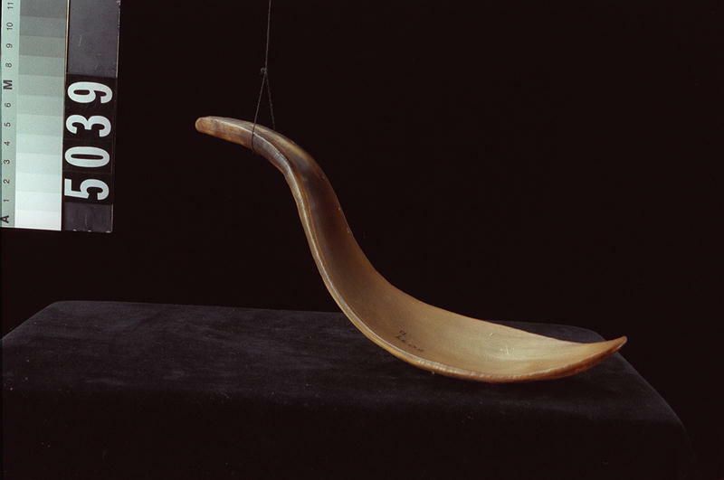 Image representing Spoon.