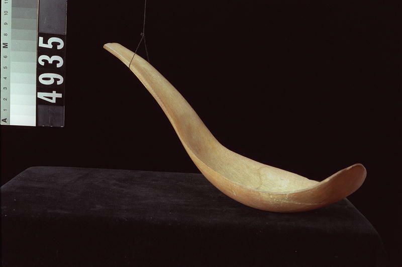 Image representing Spoon.