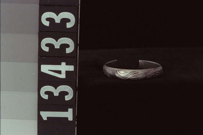 Image representing Ring.