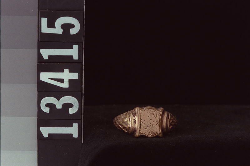 Image representing Ring.