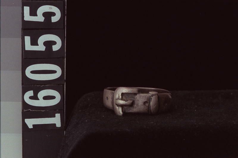 Image representing Ring.
