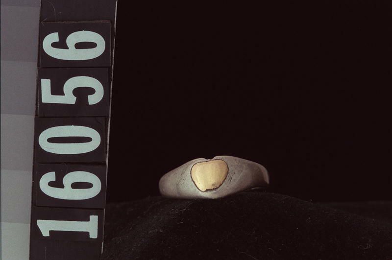 Image representing Ring.