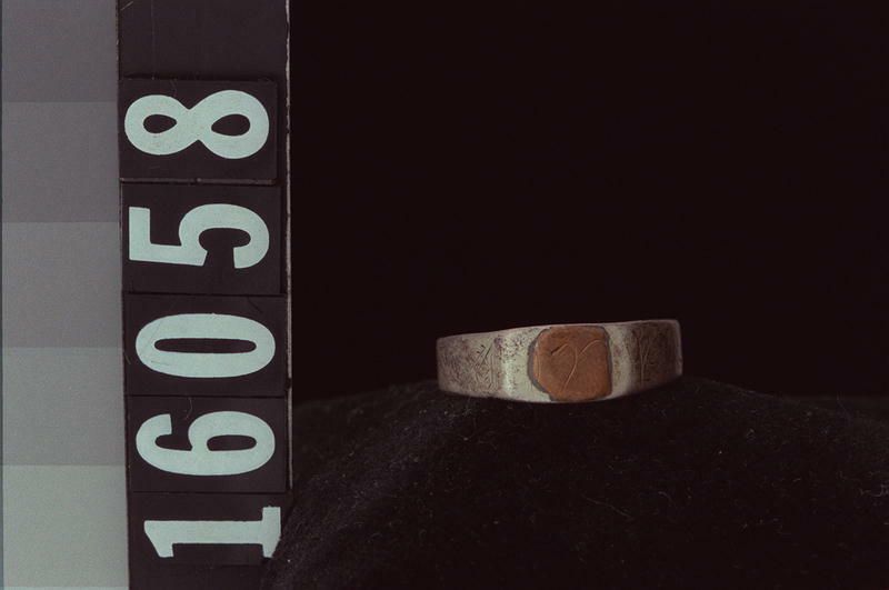 Image representing Ring.