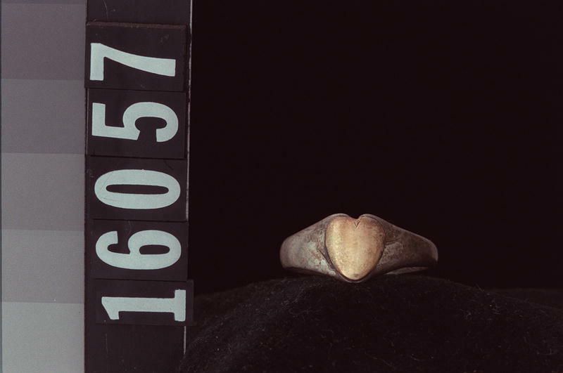 Image representing Ring.