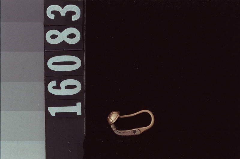 Image representing Clasp.