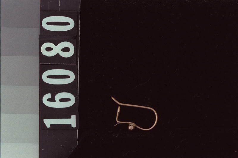 Image representing Earring.