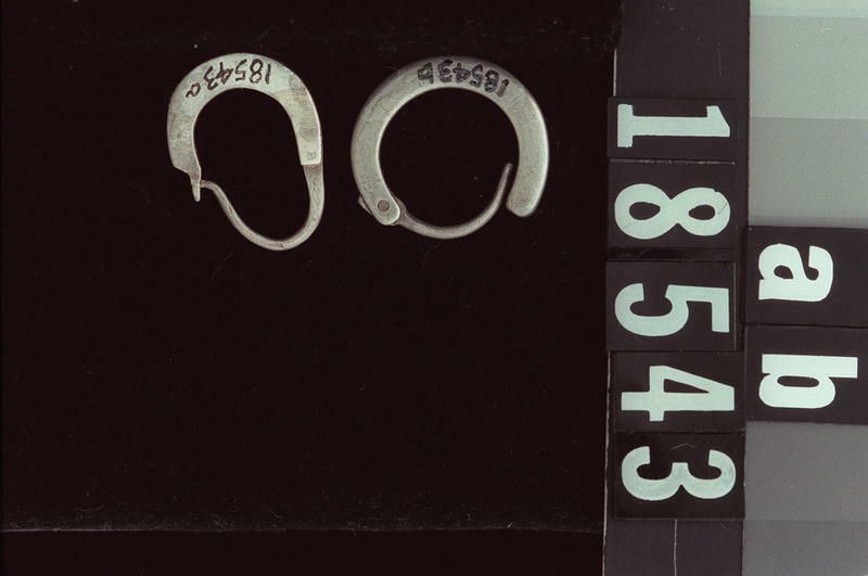 Image representing Earring.