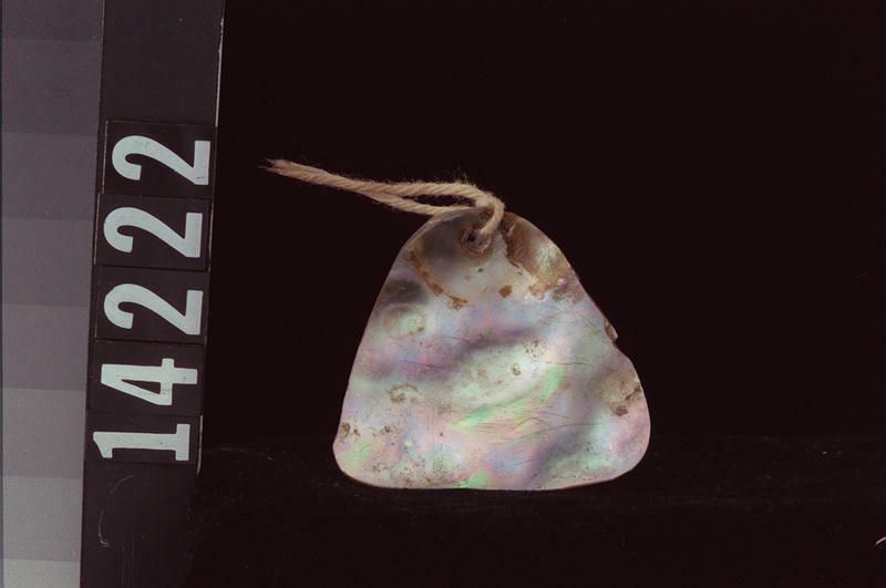 Image representing Pendant.