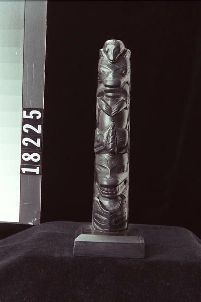 Image représentant Pole, argillite