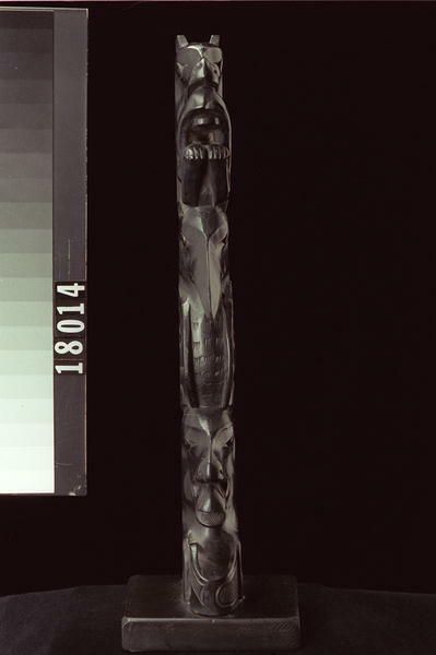 Image représentant Pole, argillite