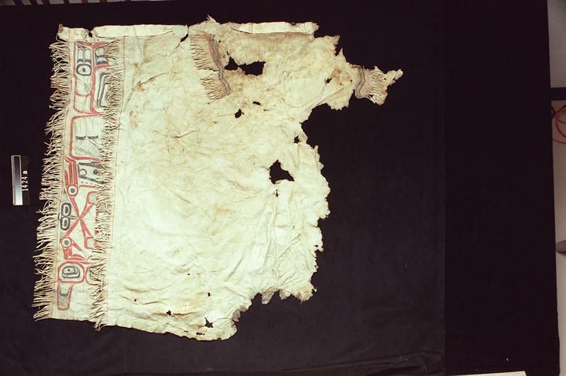 Image representing Blanket.