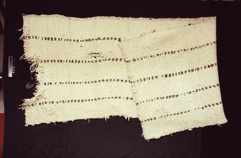 Image representing Blanket.