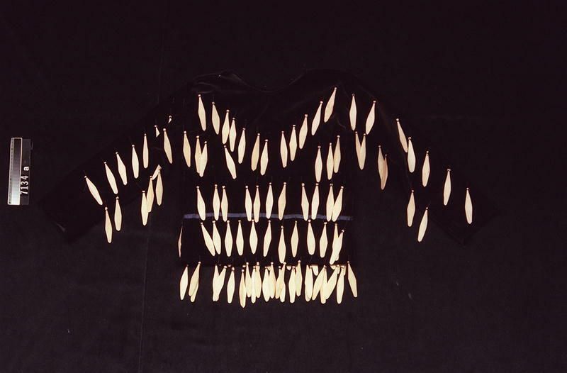 Image representing Regalia.