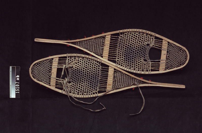 Image representing Snowshoe.
