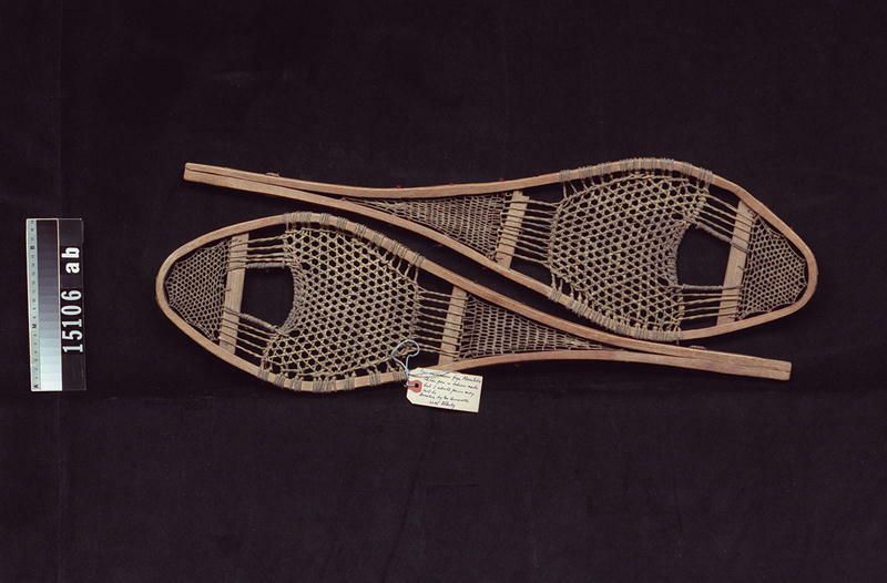 Image representing Snowshoe.