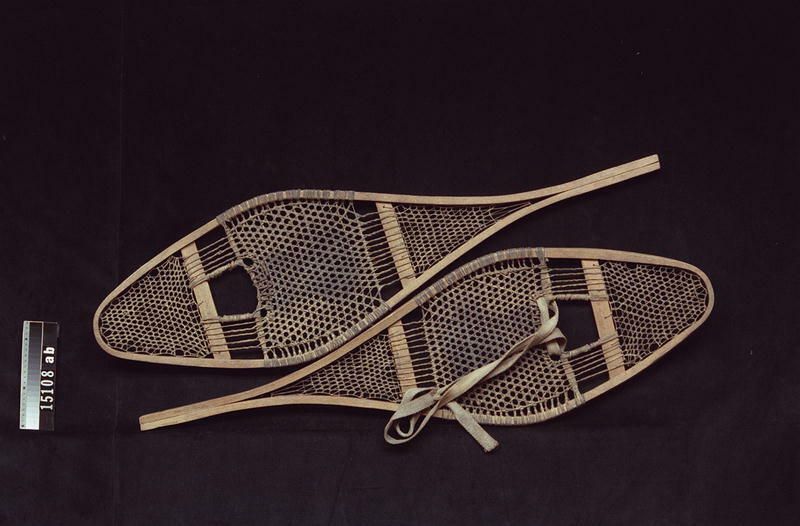 Image representing Snowshoe.
