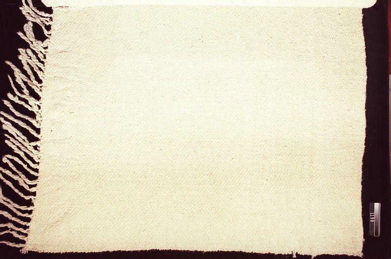 Image representing Blanket.