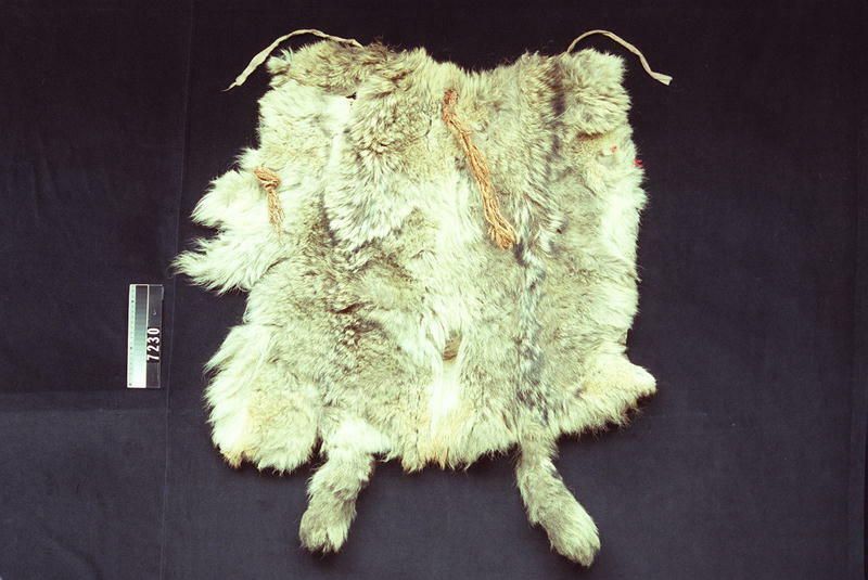 Image representing Cape.