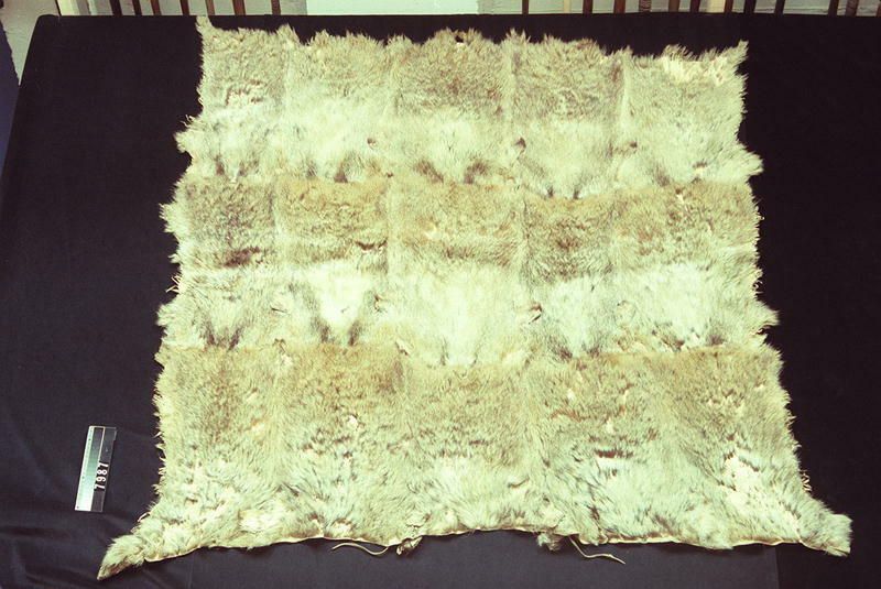 Image representing Robe.