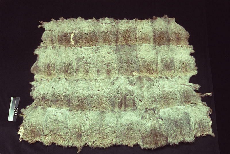 Image representing Blanket.