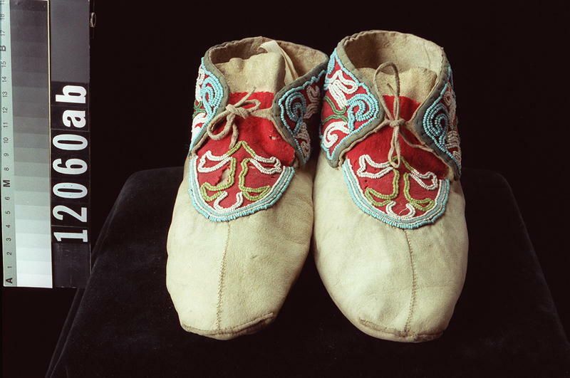 Image representing Moccasin.