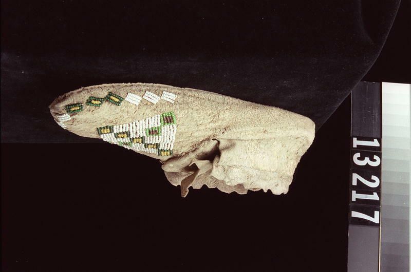 Image representing Moccasin.