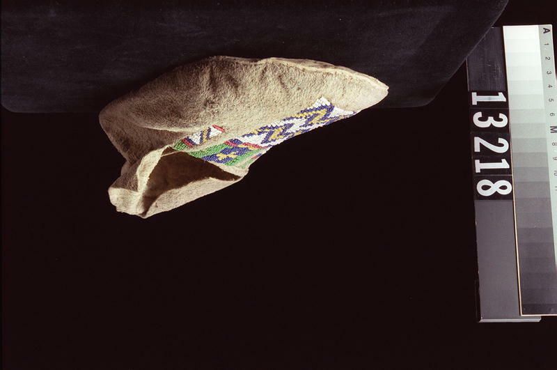 Image representing Moccasin.