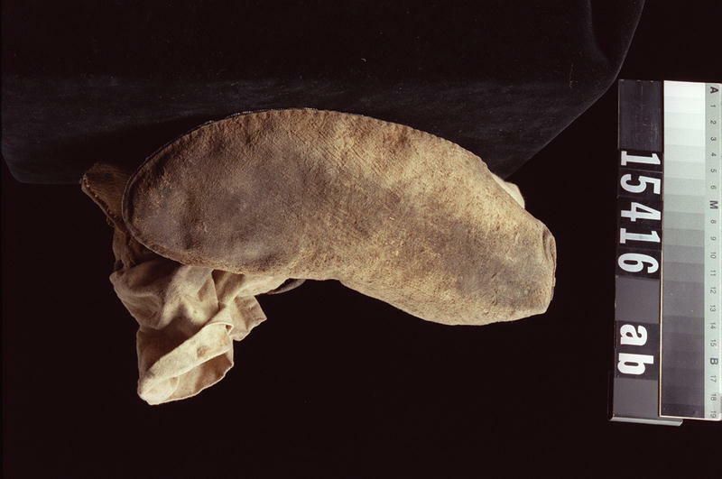 Image representing Moccasin.