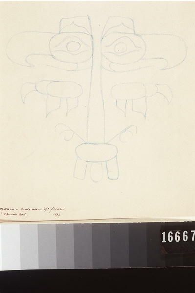 Image representing Drawing.